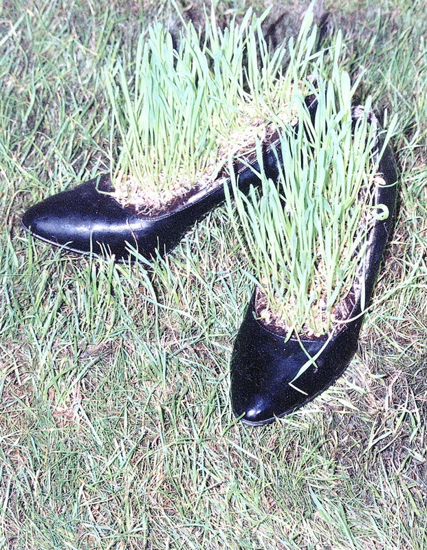 ÐÑÐ¾ÐµÐºÑ Â«Ð­ÐºÐ·Ð¸ÑÑÐµÐ½ÑÐ¸ÑÂ», ÐÐ¾Ð»Ð»Ð°Ð½Ð´Ð¸Ñ, 2001 Ð³Ð¾Ð´
