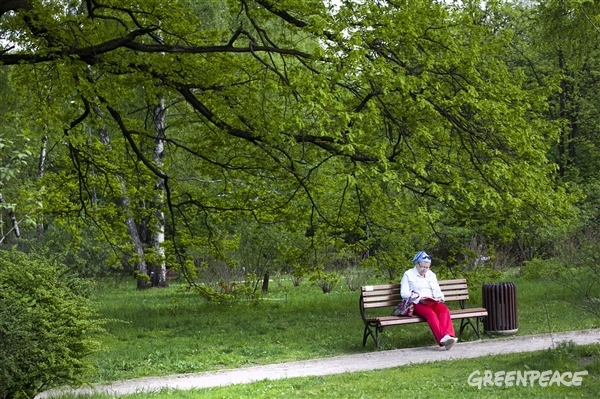 В Москве хотят срубить 1,5 миллиона здоровых деревьев