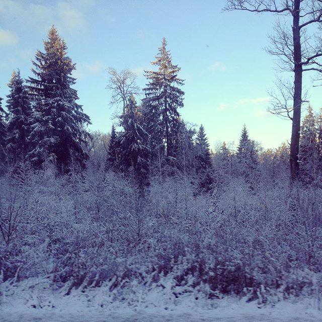 Ð ÐÐ¾Ð²Ð¾Ð³ÑÑÐ´ÐºÐµ ÐµÑÑ ÐµÑÑÑ ÑÐ½ÐµÐ³