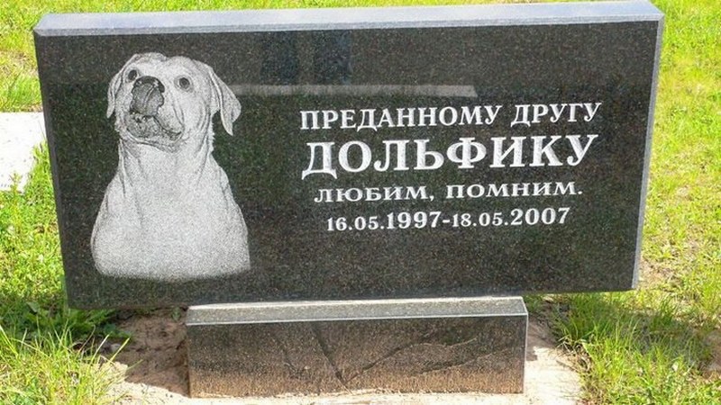 Ð¤Ð¾ÑÐ¾ Ð½Ð¾ÑÐ¸Ñ Ð¸Ð»Ð»ÑÑÑÑÐ°ÑÐ¸Ð²Ð½ÑÐ¹ ÑÐ°ÑÐ°ÐºÑÐµÑ