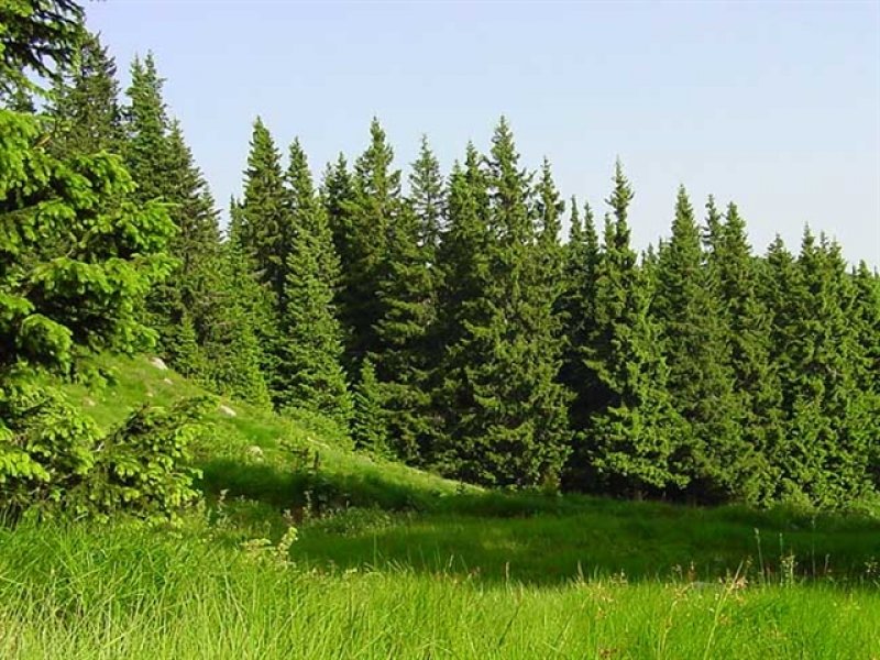 ÐÐ»ÑÐ½ÑÐº
