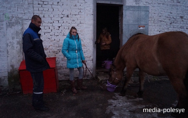 ÐÐµÐºÐ¾ÑÐ¾ÑÑÑ Ð»Ð¾ÑÐ°Ð´ÐµÐ¹ ÑÐ´Ð°ÑÑÑÑ Ð¿Ð¾Ð´Ð²ÐµÑÑÐ¸ Ðº ÐºÑÐ°Ð½Ñ Ñ Ð²Ð¾Ð´Ð¾Ð¹