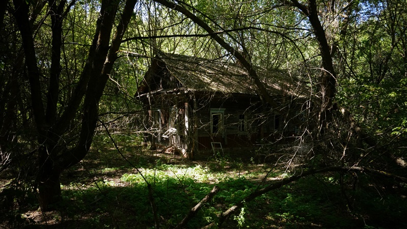 Ð¤Ð¾ÑÐ¾ ÑÐ´ÐµÐ»Ð°Ð½Ð¾ Ð² Ð§ÐµÑÐ½Ð¾Ð±ÑÐ»ÑÑÐºÐ¾Ð¹ Ð·Ð¾Ð½Ðµ