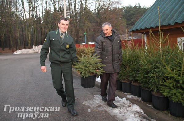 ÐÐ¾Ð¶Ð½Ð¾ ÐºÑÐ¿Ð¸ÑÑ ÐµÐ»ÐºÑ Ð¸ Ð² Ð³Ð¾ÑÑÐºÐµ, Ð° Ð¿Ð¾ÑÐ¾Ð¼ Ð²ÑÑÐ°Ð´Ð¸ÑÑ ÐµÐµ