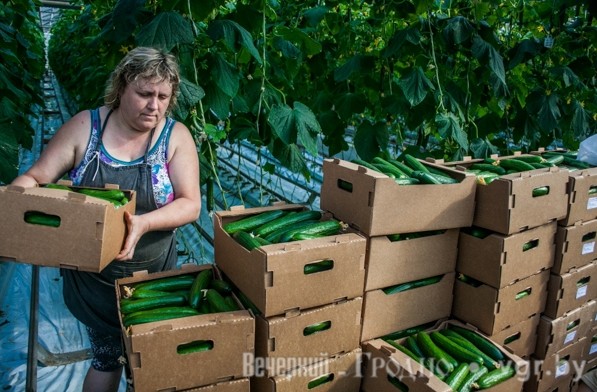 Ð¡Ð±Ð¾Ñ ÑÑÐ¾Ð¶Ð°Ñ Ð¾Ð³ÑÑÑÐ¾Ð², ÑÐ¾ÑÐ¾ ÐÐµÑÐµÑÐ½Ð¸Ð¹ ÐÑÐ¾Ð´Ð½Ð¾