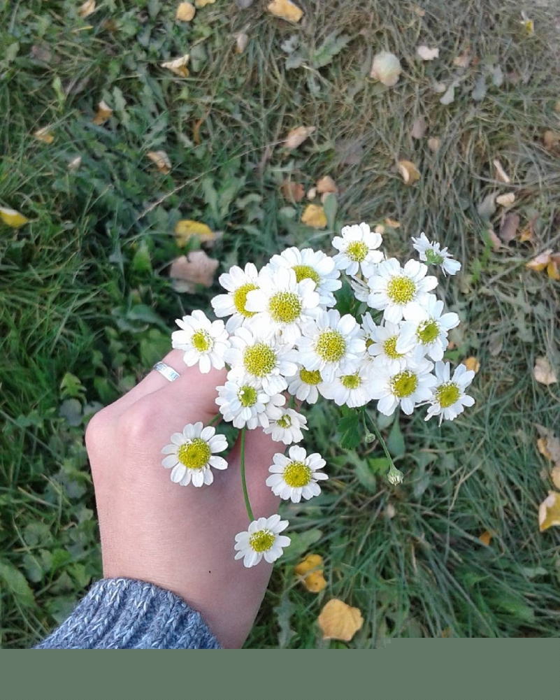 marychopko