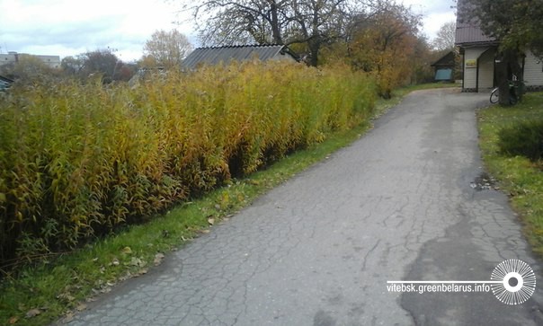 ÐÑÐ²Ð°Ñ Ð°Ð³Ð°ÑÐ¾Ð´Ð¶Ð° Ð· ÑÑÐ¼Ð½ÑÐºÐ° ÐºÐ°Ð½Ð°Ð´ÑÐºÐ°Ð³Ð° Ð»Ñ ÐºÑÐ°Ð¼Ñ  Â«Ð¥ÑÑÐ°ÑÐ¾ÐºÂ» Ñ Ð°Ð³. ÐÑÐ¶ÐºÑ, Ð²ÑÐ». 17 Ð²ÐµÑÐ°ÑÐ½Ñ