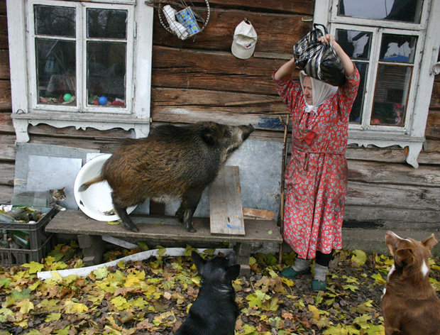  ÐÐ°ÑÐ¸Ð»Ð¸Ð¹ ÐÐµÐ½ÑÐºÐ¾, 2005 Ð³Ð¾Ð´, www.pressphoto.by