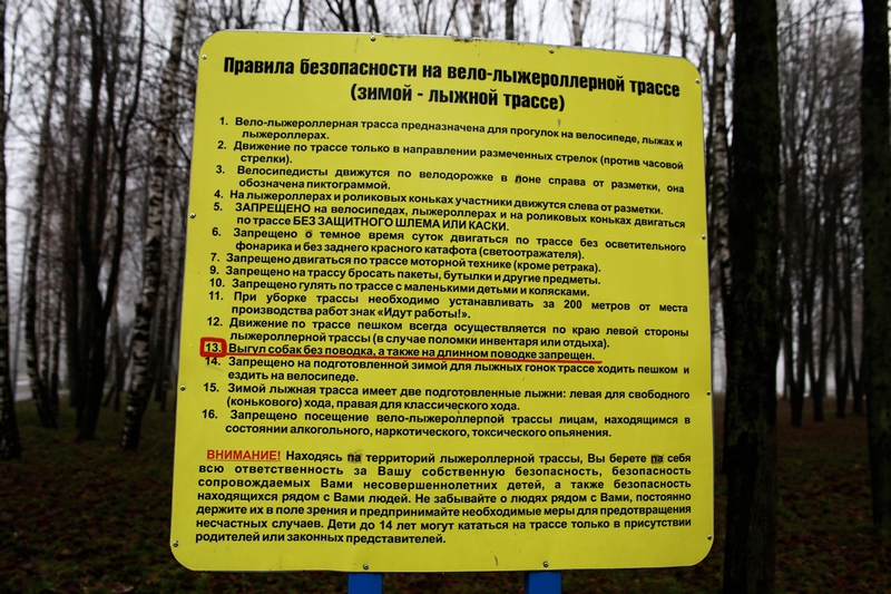 ÐÐ½ÑÐ¾ÑÐ¼Ð°ÑÐ¸Ð¾Ð½Ð½ÑÐ¹ ÑÑÐµÐ½Ð´ Ð² Ð¿Ð°ÑÐºÐµ Â«ÐÐ°ÑÑÐ½ÑÐ½ÑÑ ÐÐµÑÐ°Ð¼Ð¾Ð³Ð°Ð¹Â»