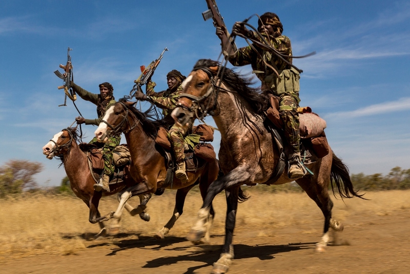 Â«ÐÐ¾Ð¹Ð½Ð° ÑÐ»Ð¾Ð½Ð¾Ð²Ð¾Ð¹ ÐºÐ¾ÑÑÐ¸Â», Brent Stirton, Ð®ÐÐ&nbsp;
