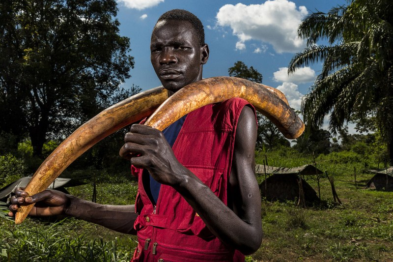 Â«ÐÐ¾Ð¹Ð½Ð° ÑÐ»Ð¾Ð½Ð¾Ð²Ð¾Ð¹ ÐºÐ¾ÑÑÐ¸Â», Brent Stirton, Ð®ÐÐ&nbsp;