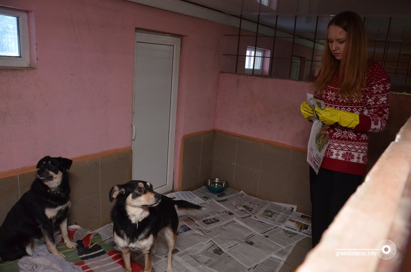 ÐÐ´Ð·ÑÐ½ Ð´Ð·ÐµÐ½Ñ Ð· Ð²Ð°Ð»Ð°Ð½ÑÑÑÐ°Ð¼Ñ ÑÐ°Ð±Ð°ÑÐ°Ð³Ð° Ð¿ÑÑÑÑÐ»ÐºÑ
