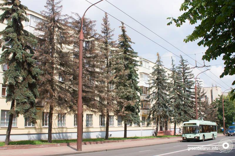 ÐÐ¸Ð½ÑÐº, ÑÐ». ÐÑÐ¹Ð±ÑÑÐµÐ²Ð°, 57. ÐÐ· 12 Ð´ÐµÑÐµÐ²ÑÐµÐ² 5 Ð²ÑÐ³Ð»ÑÐ´ÑÑ ÑÑÑÐ¸Ð¼Ð¸. 27 Ð¸ÑÐ»Ñ 2016 Ð³Ð¾Ð´Ð°
