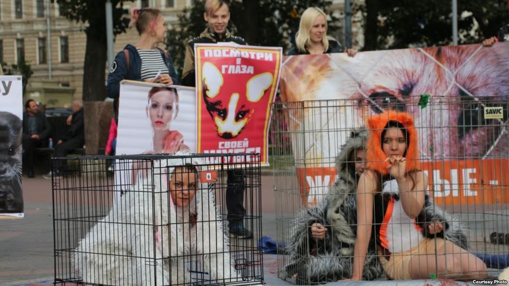 ÐÐºÑÐ¸Ñ Ð² Ð·Ð°ÑÐ¸ÑÑ Ð¶Ð¸Ð²Ð¾ÑÐ½ÑÑ Ð² ÐÐµÑÐµÑÐ±ÑÑÐ³Ðµ