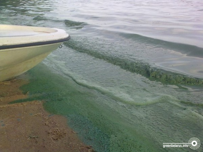 ÐÐ¸Ð»ÐµÐ¹ÑÐºÐ¾Ðµ Ð²Ð¾Ð´Ð¾ÑÑÐ°Ð½Ð¸Ð»Ð¸ÑÐµ