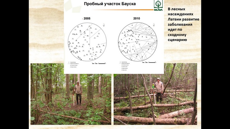 ÐÑÐ¾Ð±Ð½ÑÐµ Ð¿Ð»Ð¾ÑÐ°Ð´ÐºÐ¸ Ð² ÐÐ°ÑÐ²Ð¸Ð¸ Ð² 2005 Ð¸ 2010 Ð³Ð¾Ð´Ð°Ñ