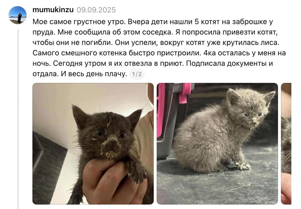 ÐÐ¾Ð¹ Ð¿Ð¾ÑÑ
