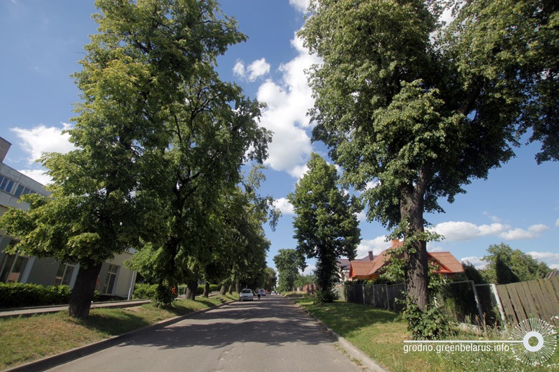 ÐÐ»ÐµÑ Ð¿Ð° Ð²ÑÐ». Ð¦ÑÐ¼ÑÑÐ°Ð·ÐµÐ²Ð°, ÑÐºÐ°Ñ Ð²ÑÐ´Ð·Ðµ Ð´Ð° Ð¿Ð°Ð»Ð°ÑÐ°
