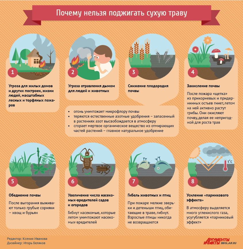 ÐÐ½ÑÐ¾Ð³ÑÐ°ÑÐ¸ÐºÐ° SMOL.AIF.RU