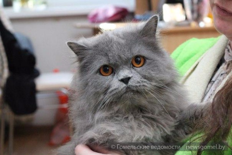 ÐÐ¾Ð½Ð´ÑÐ°ÑÐ¸Ð¹