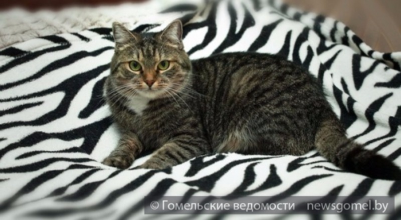 ÐÐ¸Ð»ÐºÐ°
