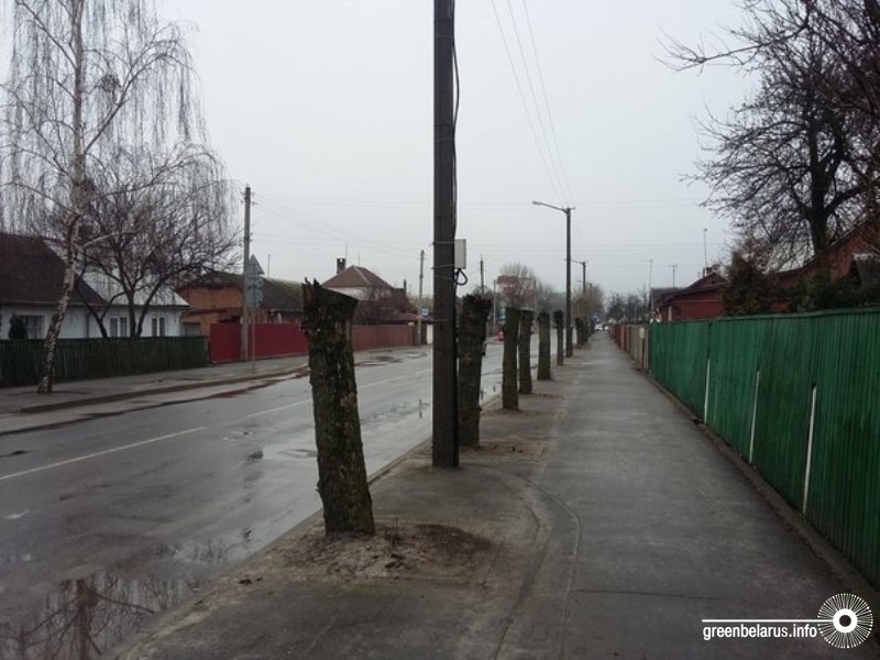 ÐÐ±ÑÐµÐ·ÐºÐ° Ð² ÐÑÐµÑÑÐµ