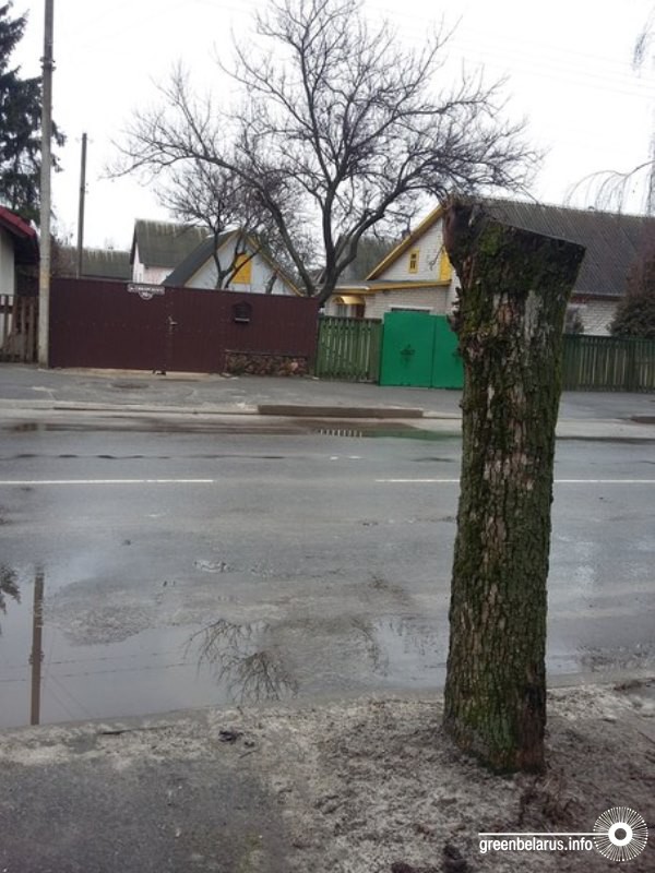 ÐÐ±ÑÐµÐ·ÐºÐ° Ð² ÐÑÐµÑÑÐµ