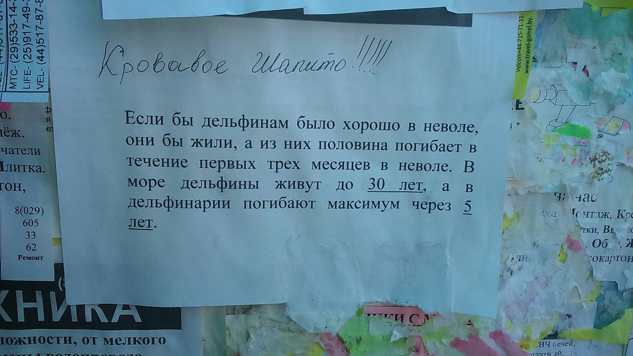  Ð¤Ð¾ÑÐ¾ ÐÑÐ¸Ð½Ñ ÐÑÑÐ½ÐµÑÐ¾Ð²Ð¾Ð²
