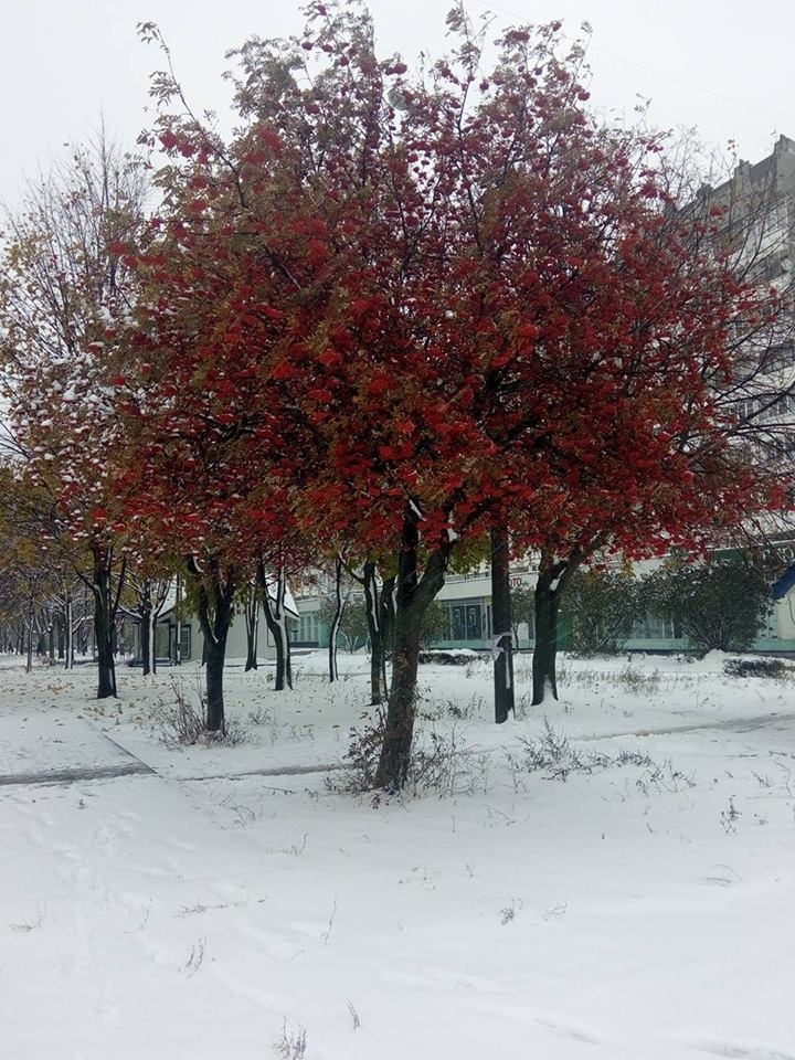 Ð¤Ð¾ÑÐ¾: Natalya Sheybak Ð¸Ð· Ð³ÑÑÐ¿Ð¿Ñ ÐÐ¾Ð¼ÐµÐ»Ñ Ð² Facebook