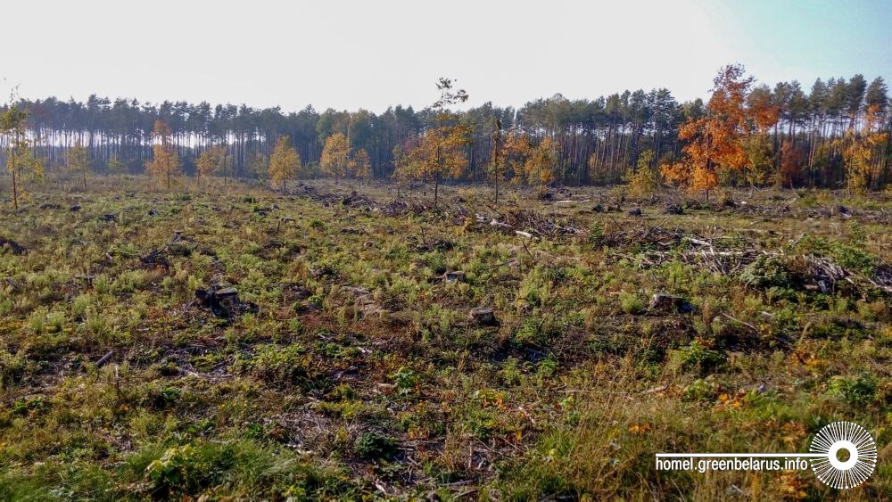 ÐÐ¾Ð´ ÑÐ°Ð¼Ñ Ð¿Ð° ÑÑÐ°ÑÑÐºÐ°Ñ Ð»ÐµÑÑ Ð·Ð° ÐÐ°Ð½ÑÐ°ÐºÑÐ·Ð°ÑÐºÐ°Ð¹ Ð¿ÑÐ°Ð¹ÑÐ¾ÑÑÑ Ð±ÑÑÐ°Ð½, ÑÐºÑ Ð²ÑÑÐ²Ð°Ñ Ñ Ð¿Ð°Ð²Ð°Ð»ÑÑ Ð²ÑÐ»ÑÐºÑÑ ÐºÐ¾Ð»ÑÐºÐ°ÑÑÑ Ð´ÑÑÐ²Ð°Ñ