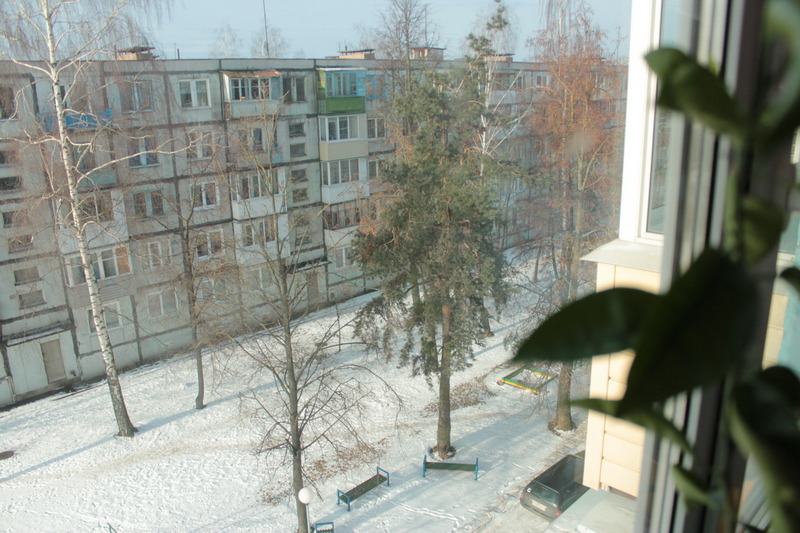ÐÐ¾ Ð´Ð²Ð¾ÑÐµ ÐÐ»ÐµÐºÑÐ°Ð½Ð´ÑÐ° Ð¡ÑÑÐµÐ²Ð° Ð¿Ð¾ÑÐ»Ðµ Ð²ÑÑÑÐ±ÐºÐ¸ Ð¾ÑÑÐ°Ð»Ð¾ÑÑ Ð½ÐµÑÐºÐ¾Ð»ÑÐºÐ¾ Ð´ÐµÑÐµÐ²ÑÐµÐ². ÐÑÐ¶ÑÐ¸Ð½Ð° Ð¿ÐµÑÐµÐ¶Ð¸Ð²Ð°ÐµÑ, ÑÑÐ¾ Ð¸Ñ ÑÐ¾Ð¶Ðµ ÑÐºÐ¾ÑÐ¾ ÑÐ¿Ð¸Ð»ÑÑ.