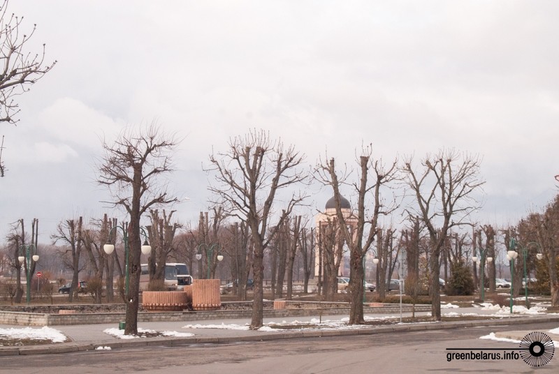 ÐÐ±ÑÐµÐ·ÐºÐ° Ð² ÐÐ¾Ð³Ð¸Ð»ÑÐ²Ðµ