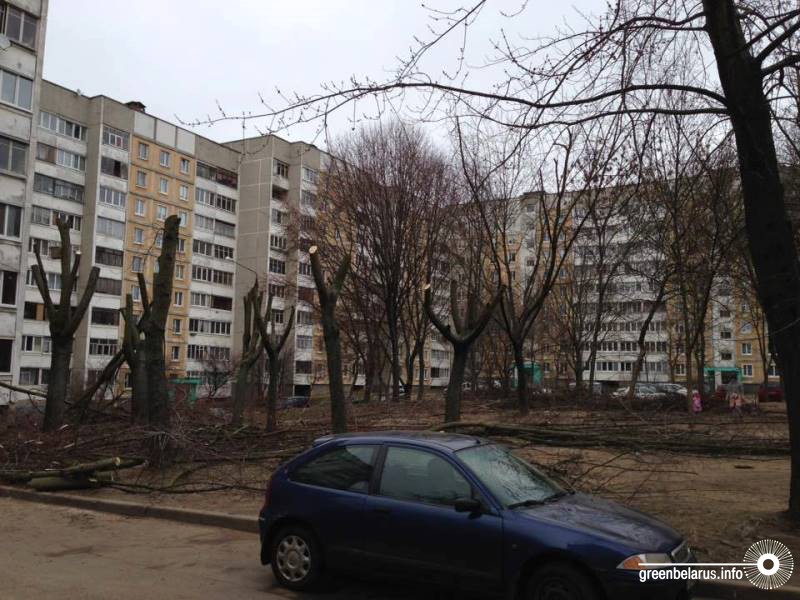 ÐÐ±ÑÐµÐ·ÐºÐ° Ð² ÐÐ¸Ð½ÑÐºÐµ