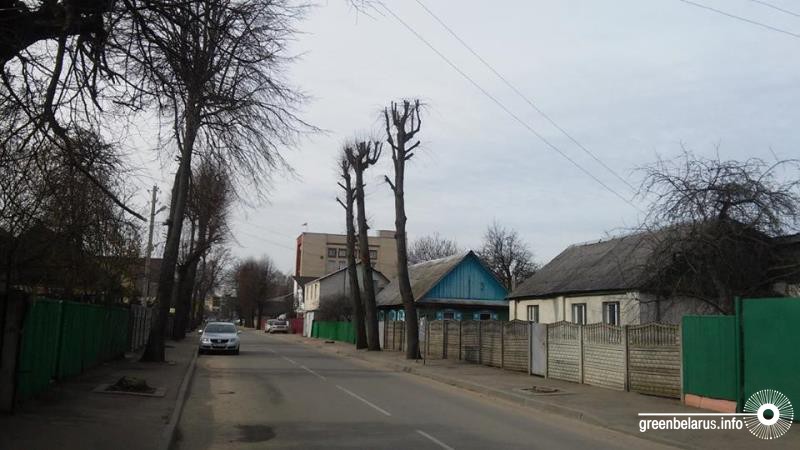 ÐÐ±ÑÐµÐ·ÐºÐ° Ð² ÐÐ¸Ð½ÑÐºÐµ