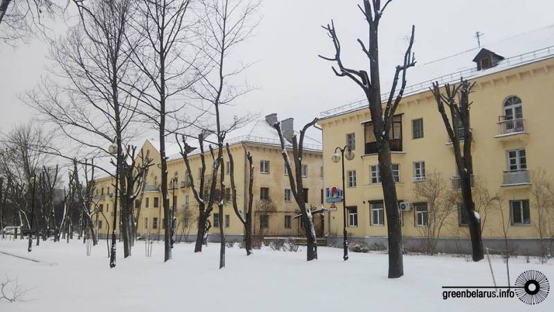 ÐÐ±ÑÐµÐ·ÐºÐ° Ð² ÐÐ¸Ð½ÑÐºÐµ