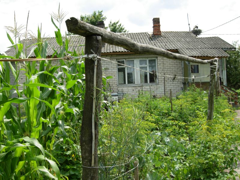ÐÐ¾Ð¼ Ñ ÐÐ°Ð¿Ð»ÑÑÐ°Ñ
