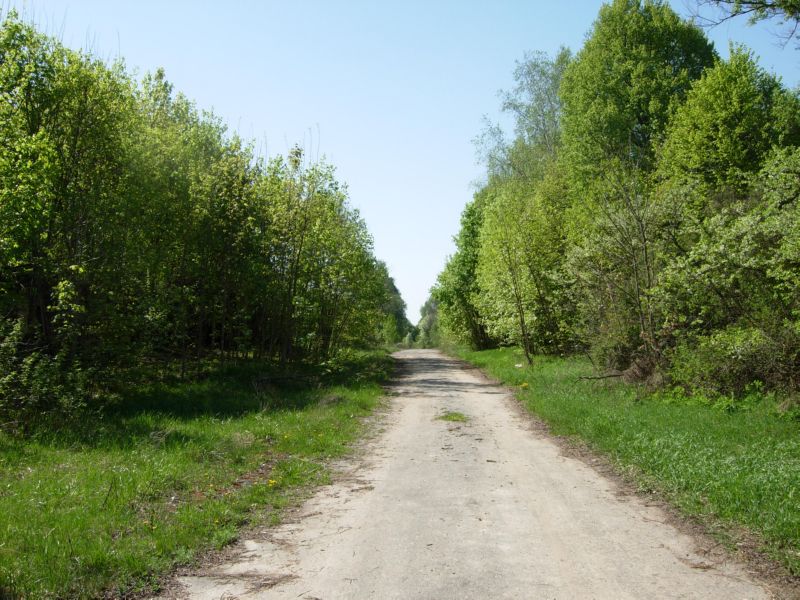 ÐÑÐ»ÑÑÐ° Ñ ÐÐ°Ð²ÑÑÐ°Ð²ÑÑÐ°Ñ ÑÑÐ½Ð½Ñ