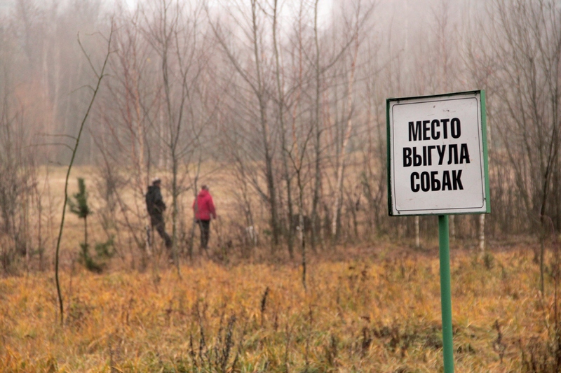 Ð¢Ð°Ð±Ð»Ð¸ÑÐºÐ° Ð½Ð°ÑÐ¾Ð´Ð¸ÑÑÑ Ð´Ð°Ð»ÐµÐºÐ¾ Ð¾Ñ Ð¼ÐµÑÑÐ° Ð²ÑÐ³ÑÐ»Ð°. ÐÐ°Ð¼ÐµÑÐ¸ÑÑ ÐµÑ Ð¼Ð¾Ð³ÑÑ Ð½Ðµ Ð²ÑÐµ.