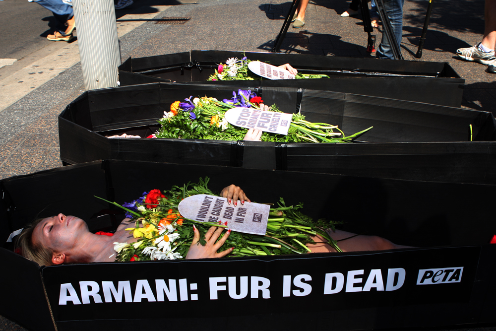 Акция Peta против Armani