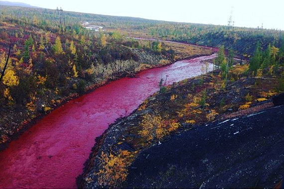  berezowskyvova / instagram.com