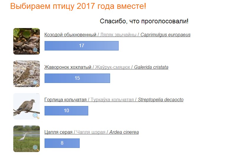 Выбираем птицу 2017 года вместе