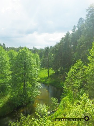 Ð¨Ð»ÑÐ¼Ð¸ÑÐ°, Ð»ÐµÑ Ð½Ð° ÑÐºÐ»Ð¾Ð½Ð°Ñ