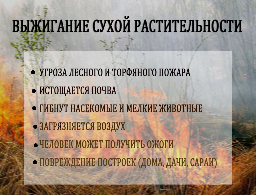 ÐÐ»Ð°ÐºÐ°Ñ-Ð½Ð°Ð¿Ð¾Ð¼Ð¸Ð½Ð°Ð½Ð¸Ðµ Ð¾Ñ ÐÐ§Ð¡ ÐÐµÐ»Ð°ÑÑÑÐ¸