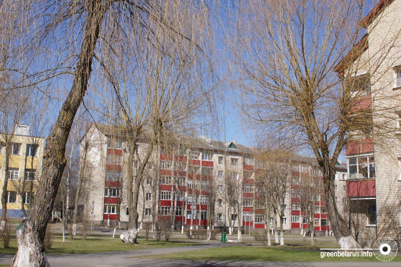 ÐÐ±ÑÐµÐ·ÐºÐ° Ð² ÐÐ¸Ð»ÐµÐ¹ÐºÐµ