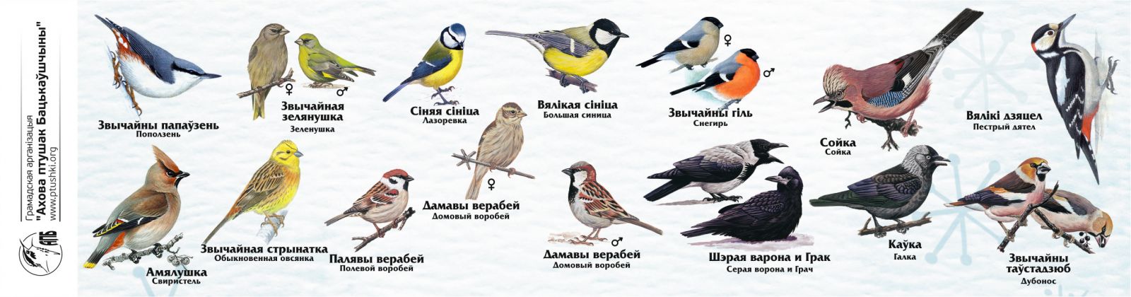 ÐÑÑÑÑ Ð¿ÑÑÑÐ°Ðº Ð²Ñ Ð·Ð¼Ð¾Ð¶Ð°ÑÐµ ÑÐ±Ð°ÑÑÑÑ Ð½Ð° ÑÐ²Ð°ÑÐ¹ ÐºÐ°ÑÐ¼ÑÑÑÑ Ð·ÑÐ¼Ð¾Ð¹ 