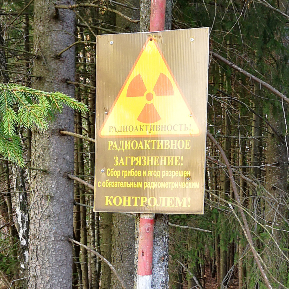 Ð¡ÐºÑÐ¸Ð½ÑÐ¾Ñ Ñ ÑÐ°Ð¹ÑÐ° "ÐÐµÑÐµÐ´Ð¾Ð·"