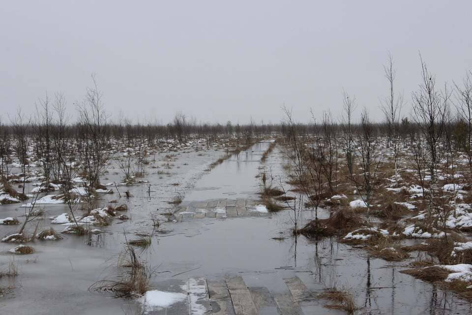 ÐÐ»ÑÐ½Ñ. Ð­ÐºÐ¾ÑÑÐ¾Ð¿Ð° Ð·Ð¸Ð¼Ð¾Ð¹