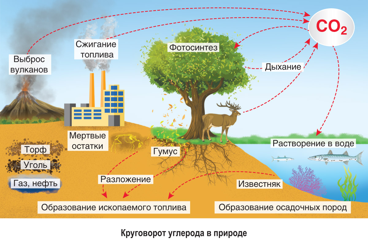 ÐÐ»Ð»ÑÑÑÑÐ°ÑÐ¸Ð²Ð½Ð¾Ðµ Ð¸Ð·Ð¾Ð±ÑÐ°Ð¶ÐµÐ½Ð¸Ðµ