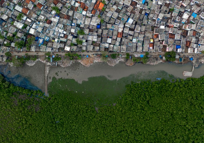 ÐÐ»Ð°Ð³Ð¾Ð´Ð°ÑÐ½Ð¾Ðµ Ð²Ð¾Ð´Ð½Ð¾-Ð±Ð¾Ð»Ð¾ÑÐ½Ð¾Ðµ ÑÐ³Ð¾Ð´ÑÐµ, Ð&nbsp;Ð°ÐºÐµÑ ÐÑÐ»Ð°Ð¿Ð°, ÐÐ½Ð´Ð¸Ñ/Wildlife Photographer of the Year/PA