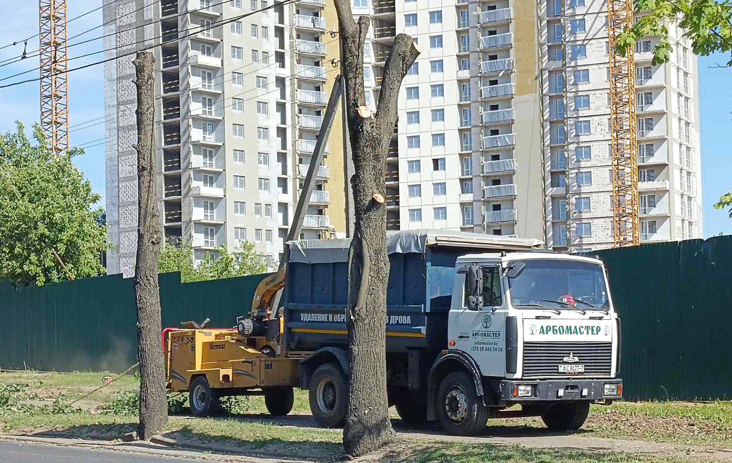 ÐÐ¸Ð½ÑÐºÐ¸Ðµ Ð°ÑÐ±Ð¾ÑÐ¸ÑÑÑ Ð¿Ð¾Ð´ÑÐµÐ·Ð°ÑÑ ÐºÐ°ÑÑÐ°Ð½Ñ. ÐÐ°Ð¹ 2023 Ð³Ð¾Ð´Ð°